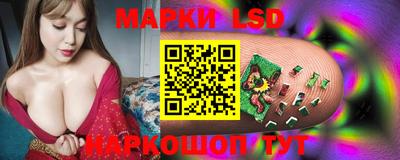 PSILOCYBIN Кулебаки