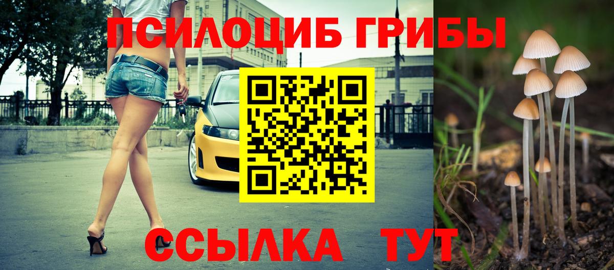 Галлюциногенные грибы Magic Shrooms  Вход с VPN  наркота  Кисловодск  Псилоцибиновые грибы Magic Shrooms 